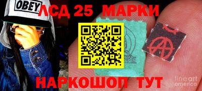 спиды Дубна