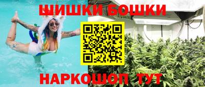 спиды Дубна