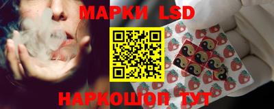 стаф Донецк