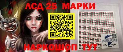 спиды Дубна