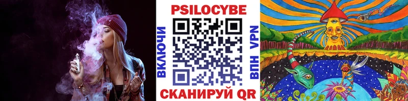 Псилоцибиновые грибы мицелий  ОМГ ОМГ ссылки  Выкса  продажа наркотиков 