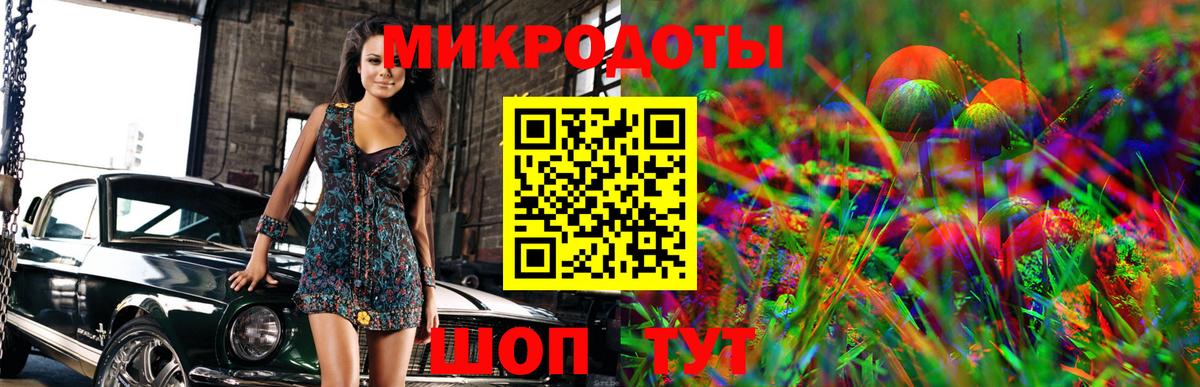 Выкса  Псилоцибиновые грибы Psilocybe  Вход с VPN 
